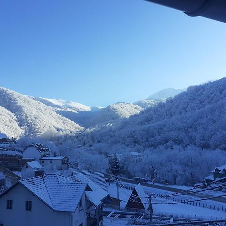 Crni Vrh Std Cvetkovic B&B 외부 사진