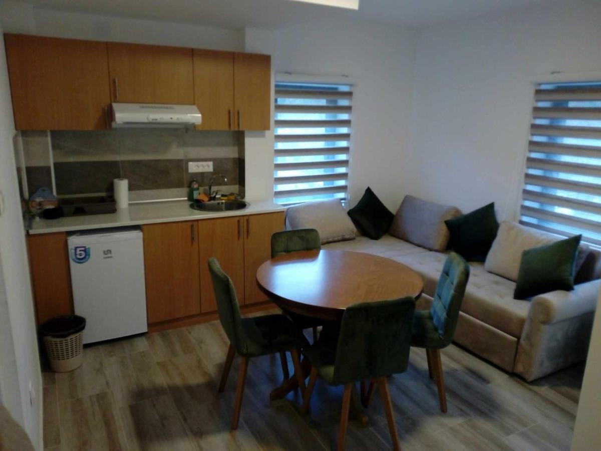 Crni Vrh Std Cvetkovic B&B 외부 사진