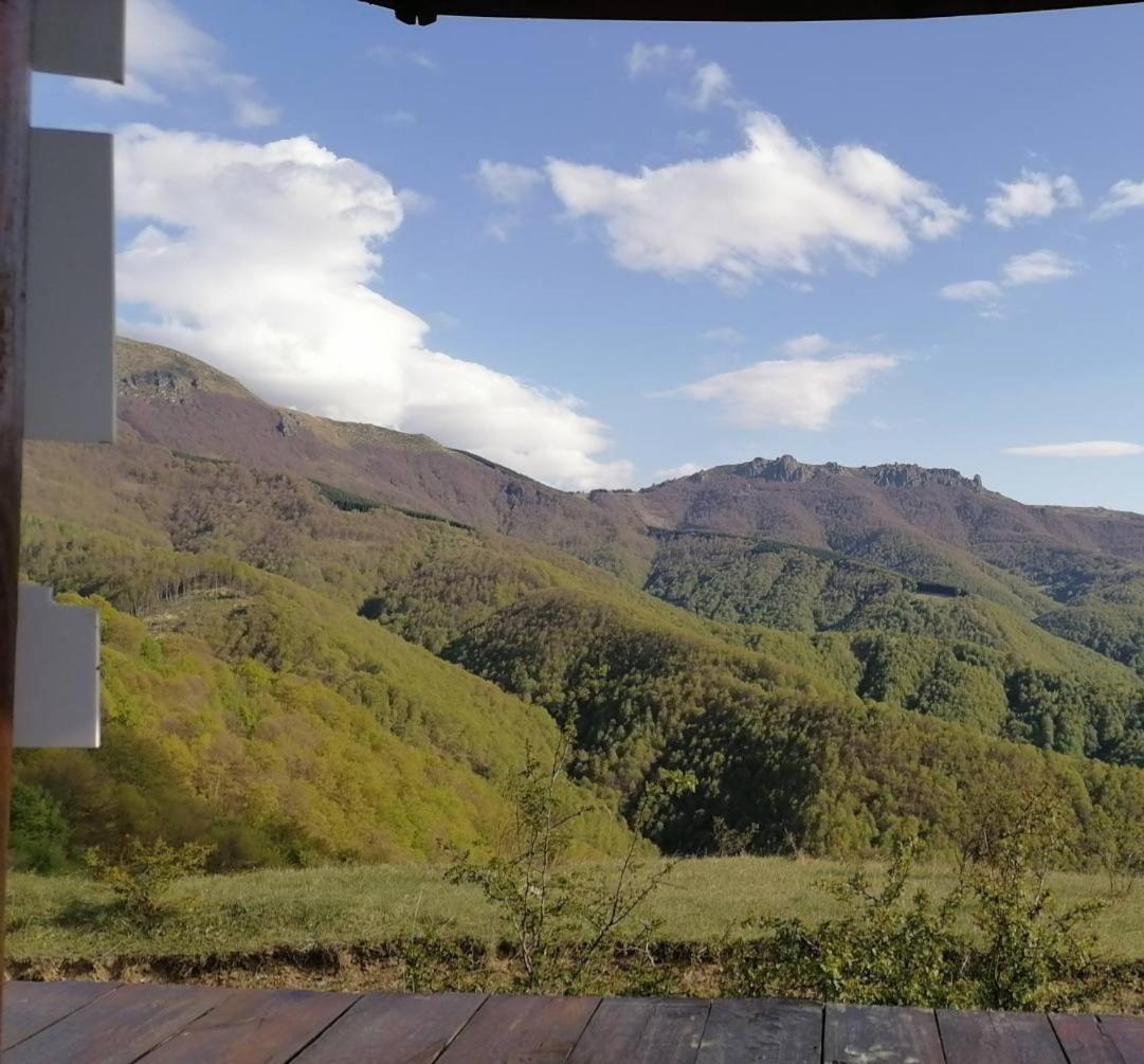 Crni Vrh Std Cvetkovic B&B 외부 사진